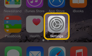 iOS Settings icon